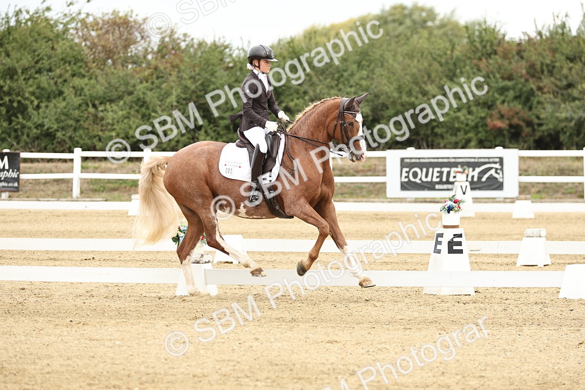 SBM_006552 - Class 21 - Medium 5 Bronze - 9.08-9.48