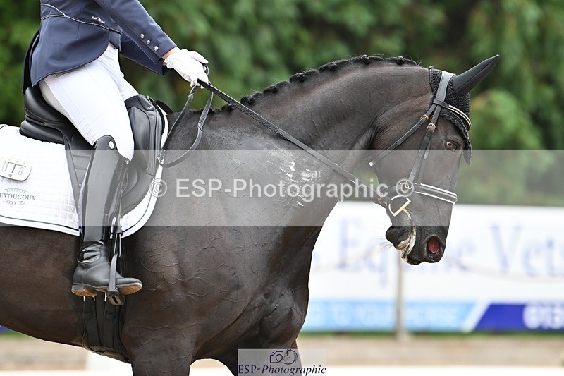 240811-120308-05328 - 118-Katie.Kneen-Springtime.Evergreen