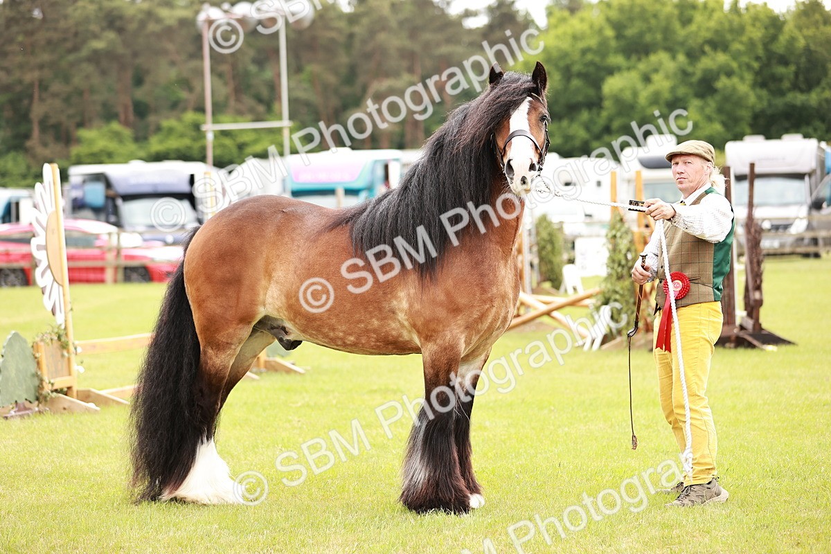SBM_06070 - Class 39-41 TGCA In Hand and Ridden