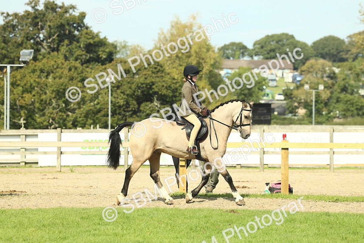 SBM_67615 - S56 - Coloured Pony Ridden