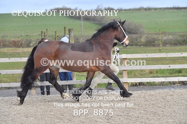 BPP_8875 - RING 2 - M&M