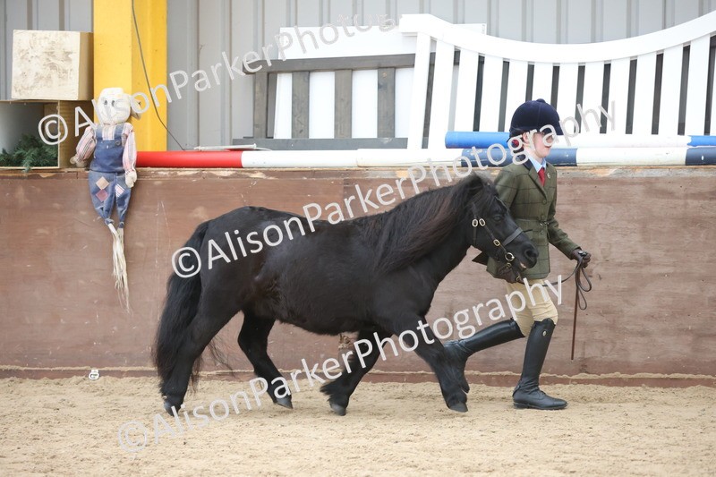 20251109-1196 - Young Handler Championship