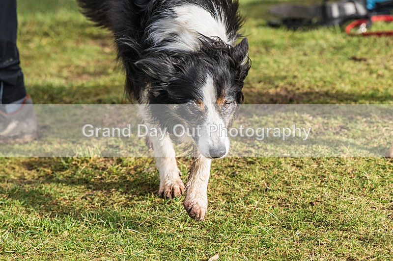 Loopy Latrigg-866 - Kong Running Loopy Latrigg Fell Race Saturday 20th December 2025