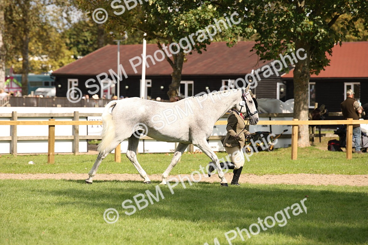 SBM_44495 - S24 - Young Veteran in hand
