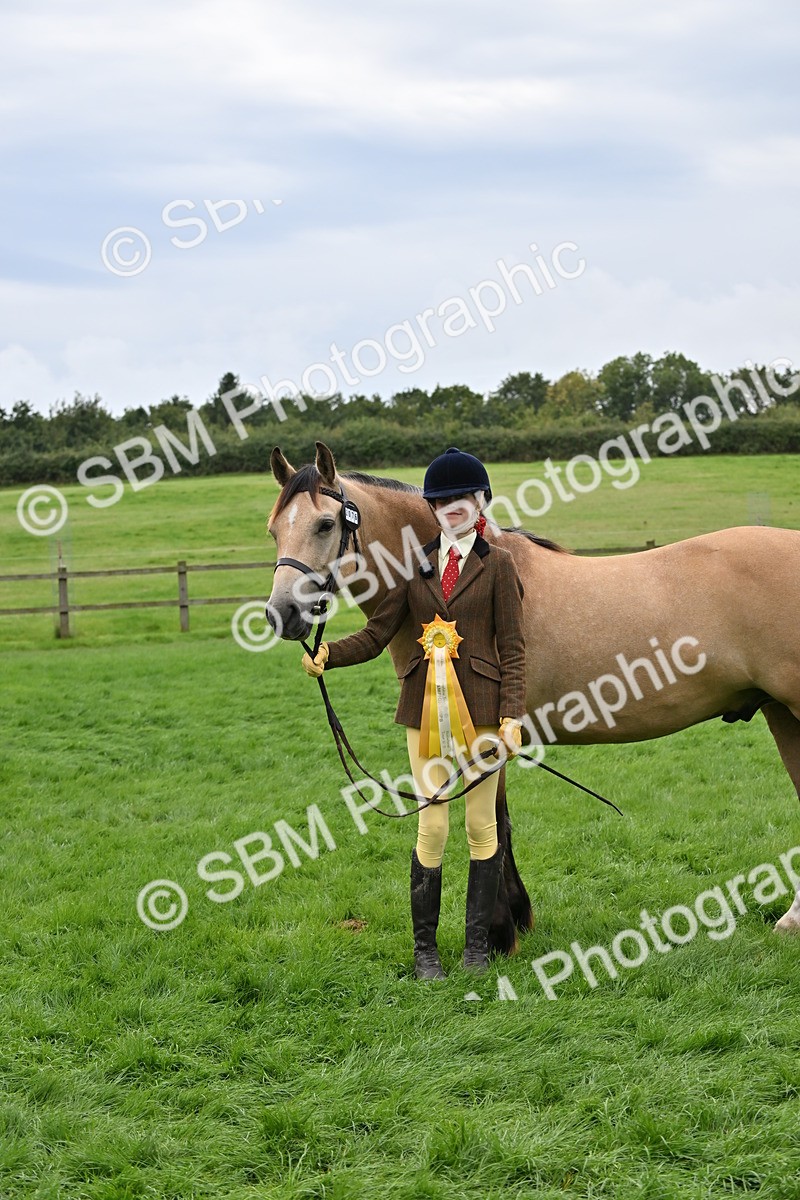 SBM_63332 - S49 - Mountain & Moorland In Hand Large Breeds