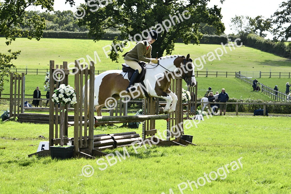 SBM_45688 - S33 - Working Hunter Pony