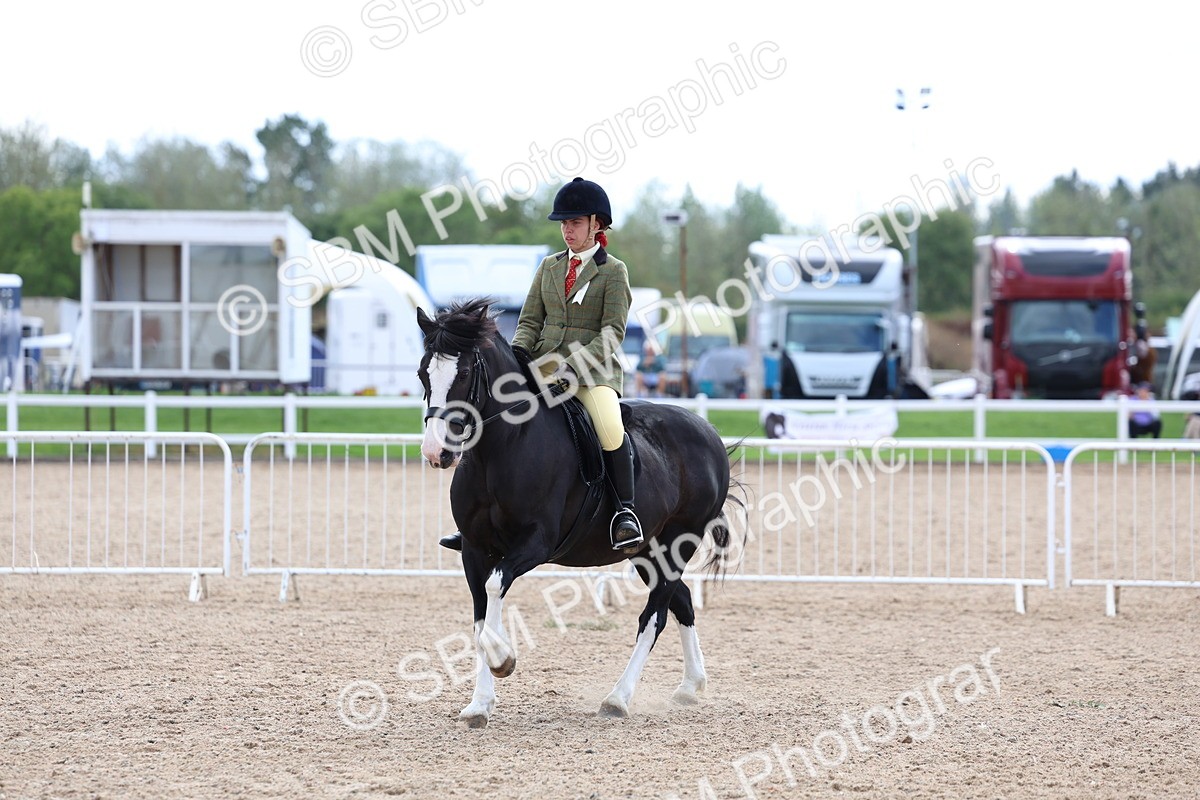 SBM_15830 - Class 314 - Family Horse - Pony