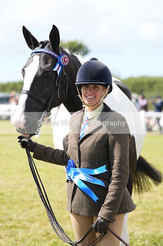 DSC07146 - Class 61: Coloured Horse 4yrs & Over
