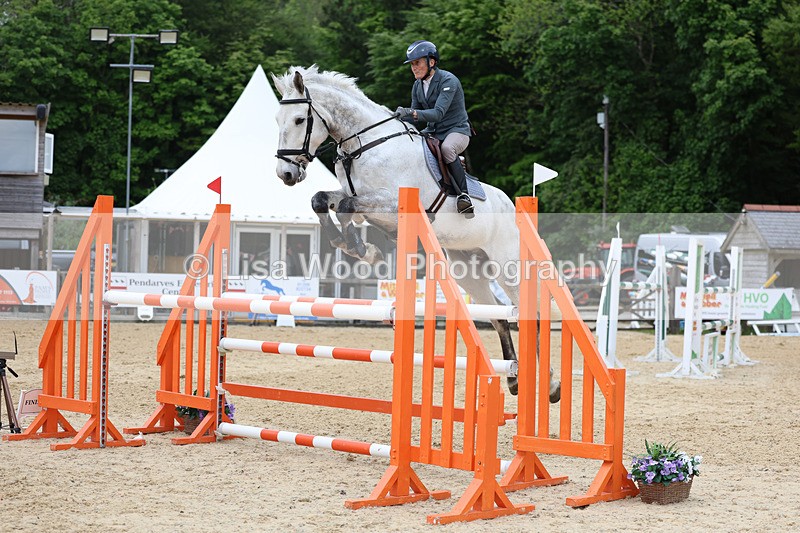 3E7A9609 - Class 9: Senior Foxhunter/1.20 open