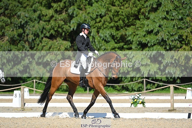 230526-161738-07324 - 255-HI_MR_HENRY-Henry_Hobby-WEDTrotUp+DR