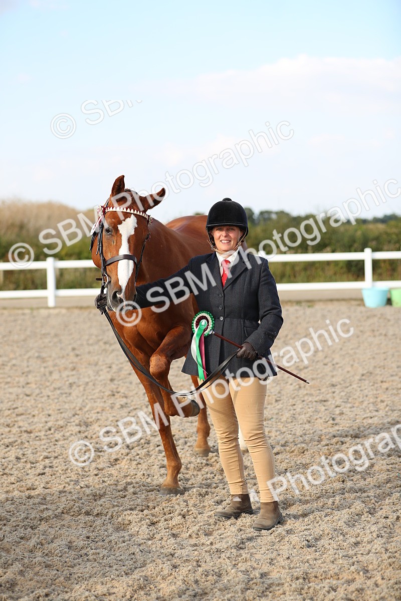 SBM_08694 - Class 28 - IH Veteran Horse