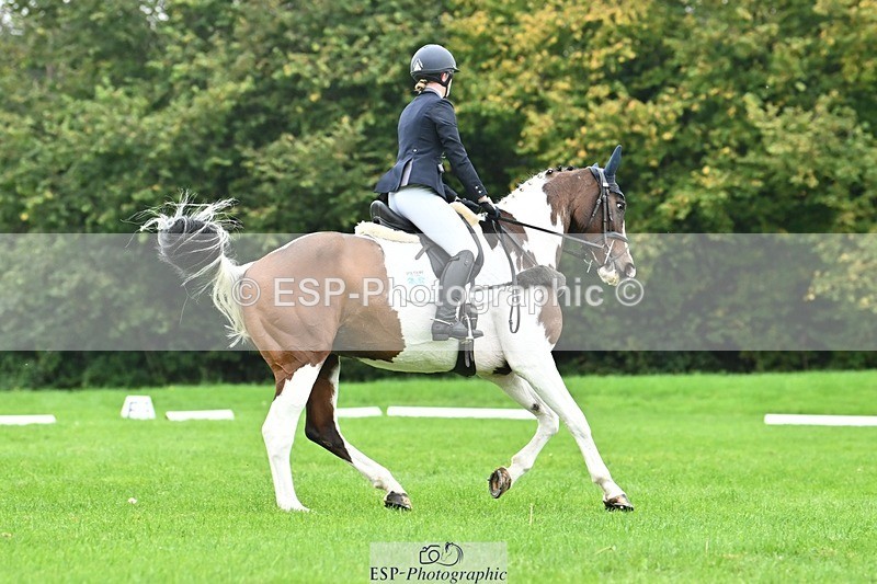 241024-135829-04262 - 331-Amber.Williams-COSMIC.MIKADO