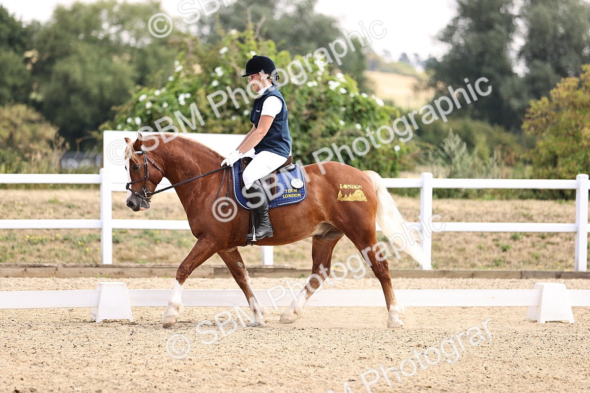 SBM_006573 - Intro 3 - 9.46-10.46