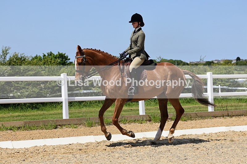 1X9A1889 - Class 12: Ridden Riding Horse/Hack