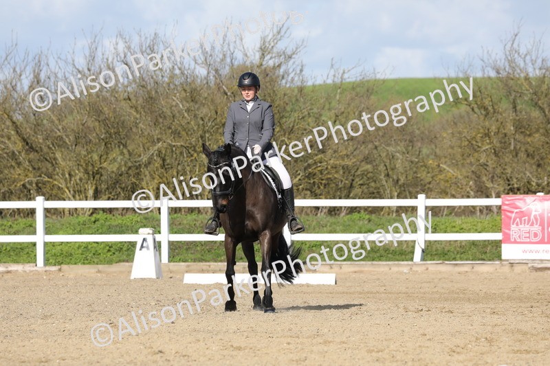 20260314-4851 - CT6 - Elementary 1