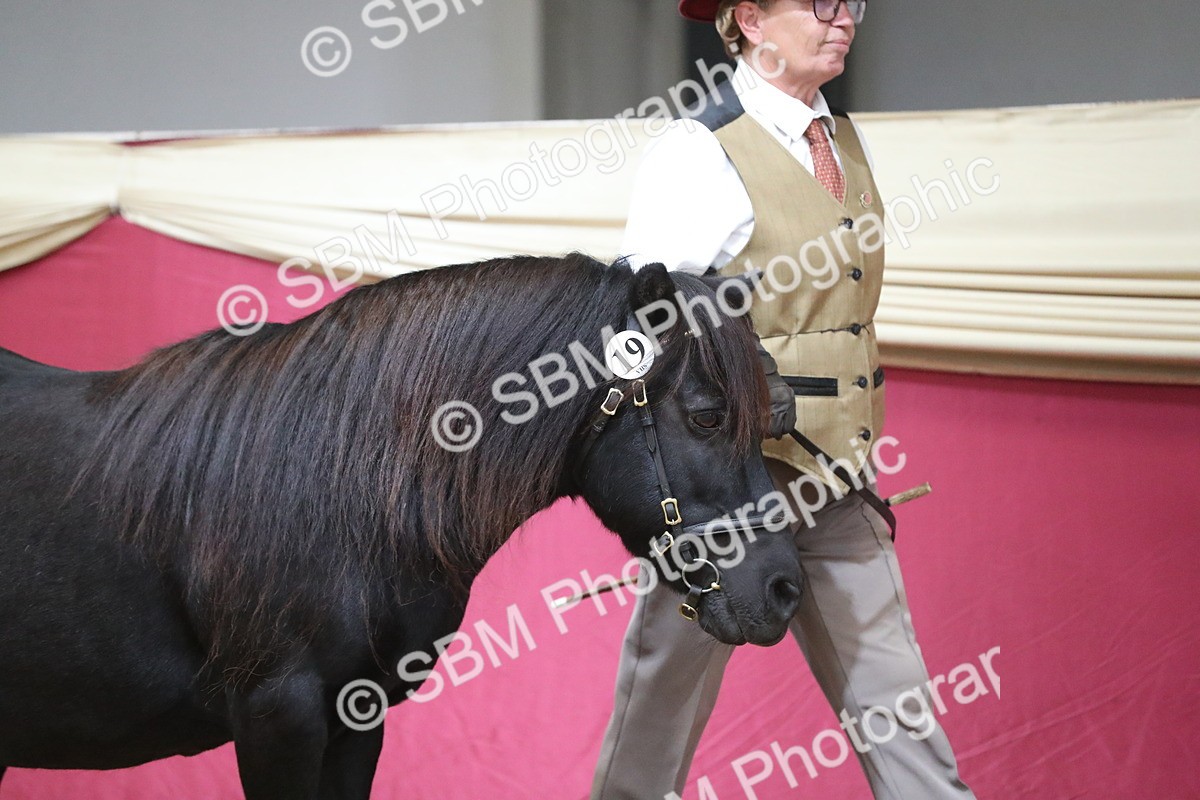 SBM_06203 - Class 9R Regional- IH Pre Vet