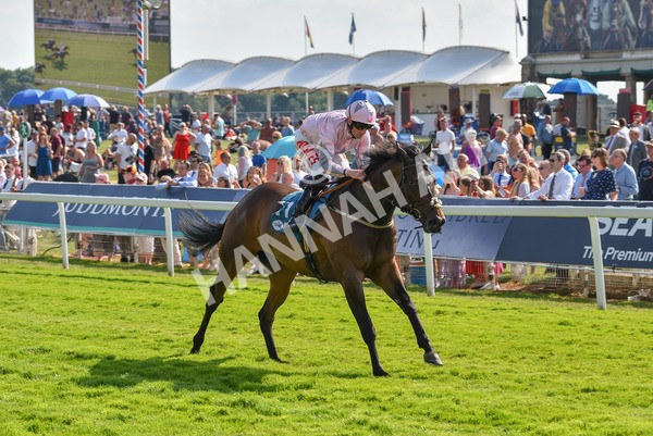 160623-Race 6-Another Investment-6507 - Race 6 4.45pm Irish Thoroughbred Marketing Handicap