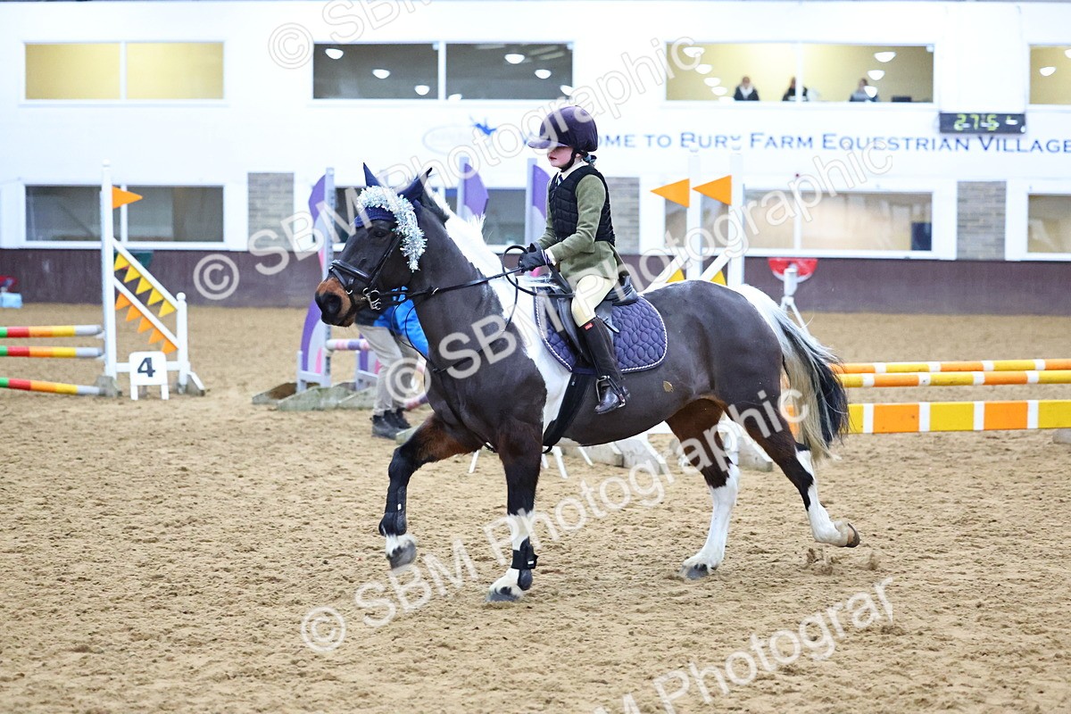 SBM_001471 - Class 3 - Christmas Tree Stakes - 60cm