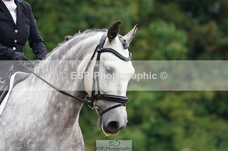 240721-095800-07352 - 150-Karen_Jones-Esplendido_UJ