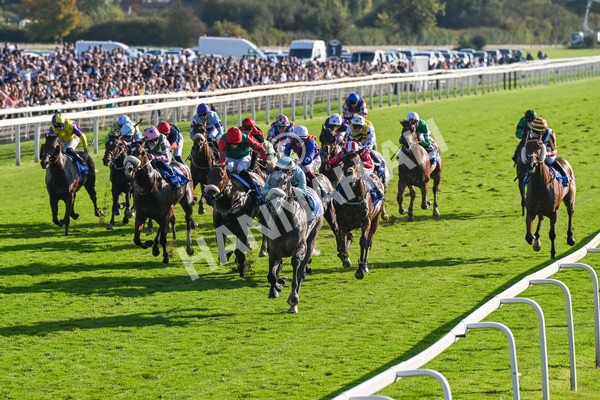 111025-Race 4-Binhareer-8808 - Race 4 Coral Sprint Trophy Handicap at York