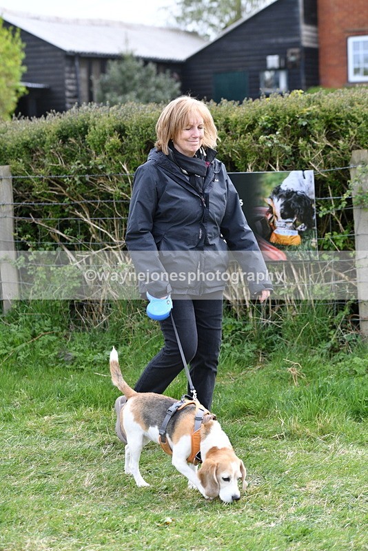 WJ5_9910 - Class 5 Best Veteran / 7 years & over