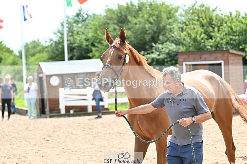 240717A-144531-02271 - Trot Up 2pm to 3pm - This folder is not in time order