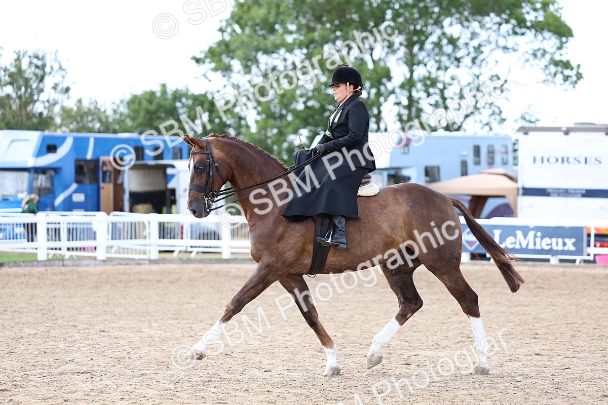 SBM_03224 - Class 22 - SSA Equitation (any age)