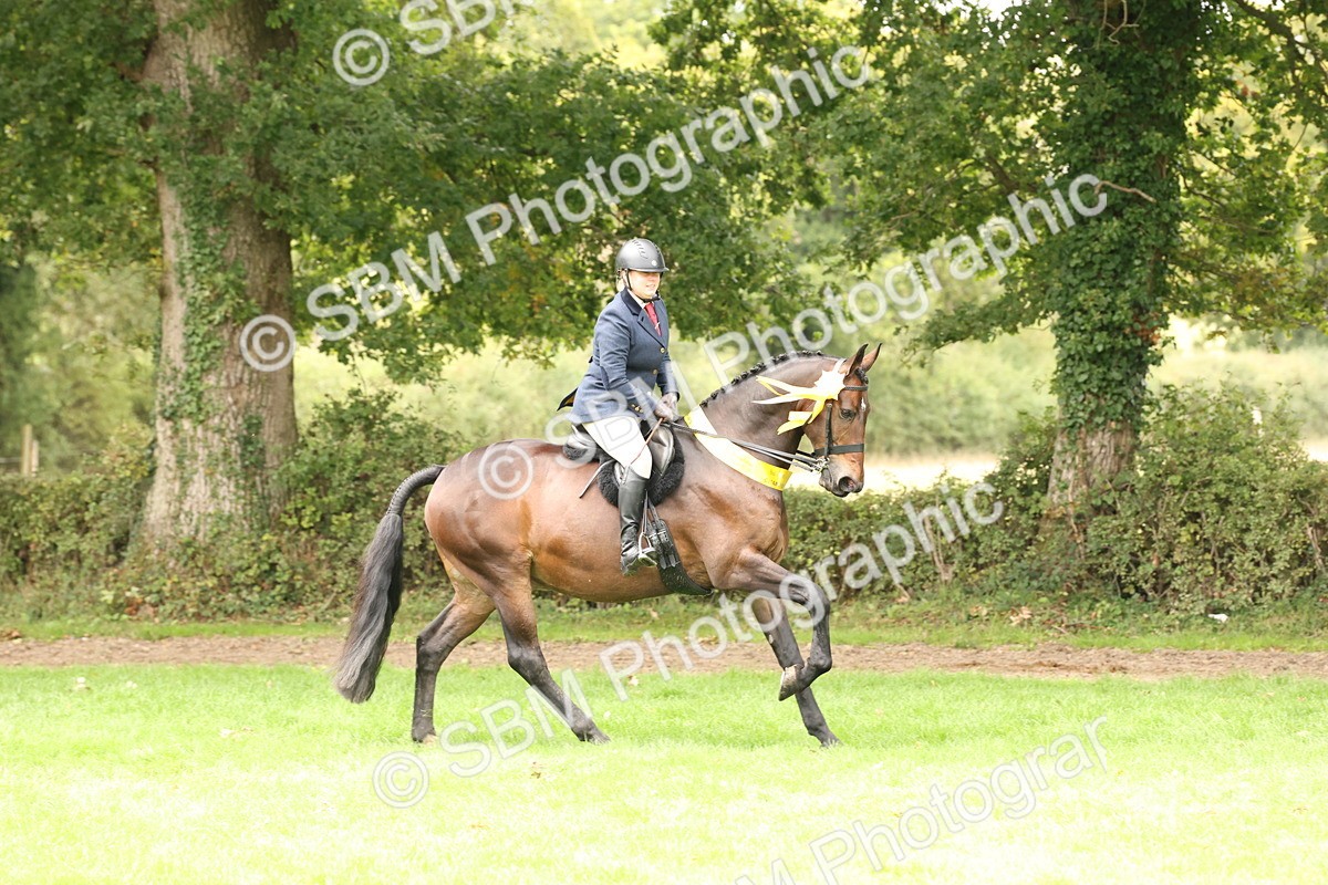 SBM_63058 - S64 - Foreign Breeds Ridden