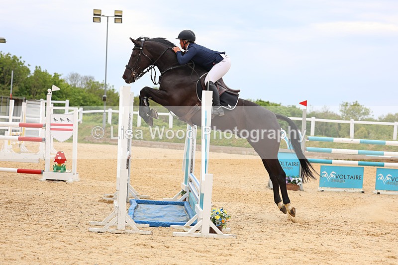 3E7A9563 - Class 9: Senior Foxhunter/1.20 open