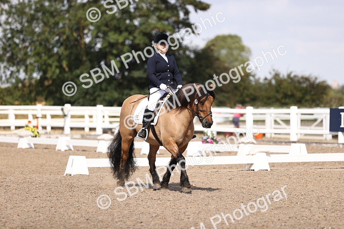 SBM_03583 - CLass 35 Intro 3