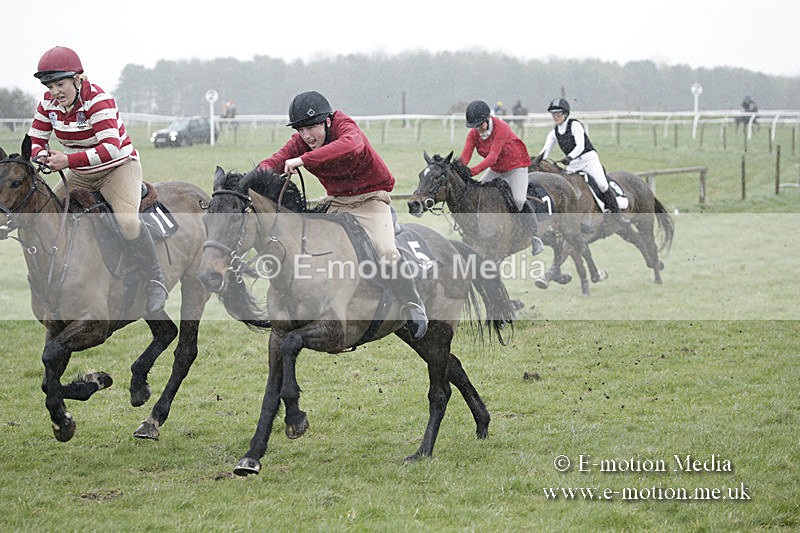 PtP 150320 0020 - New Forest Point-to-Point Larkhill 15/03/20