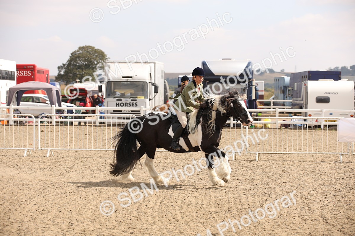 SBM_14332 - Class 407b - Working Veteran 60cm (20+)