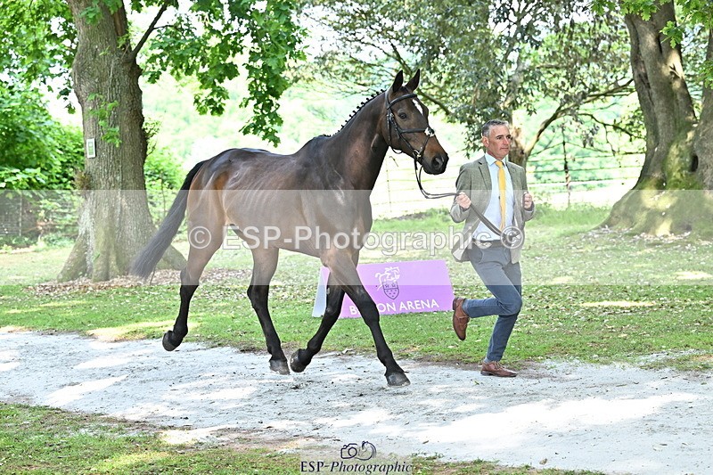 250521A-151501-00370 - B-305-Andrew.James-LANDORADO