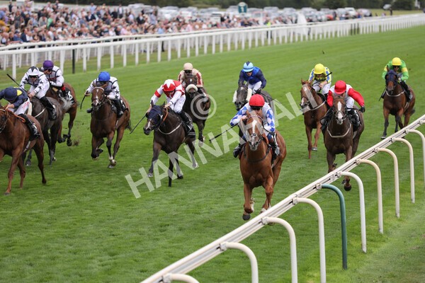 yr17082022r6-15 - Race 6 4.45 pm Celebrate ITM’s 200th IRE Voucher Winner Stakes