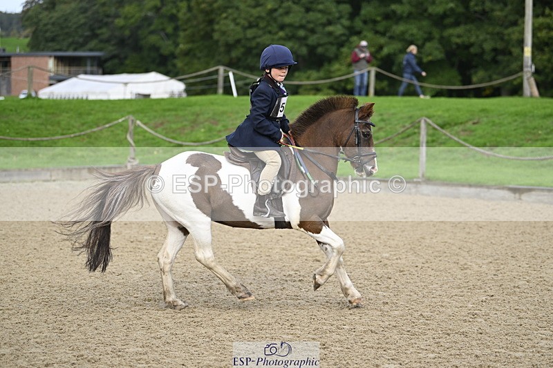 251005A-091343-03001 - Cls 02 GR 50cm