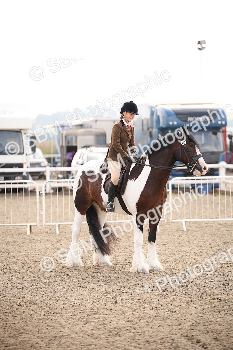 SBM_11681 - Class 404b Junior Working Veteran- 40cm(20+)