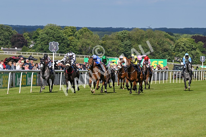 080624-Race 7-This Years Love-2003