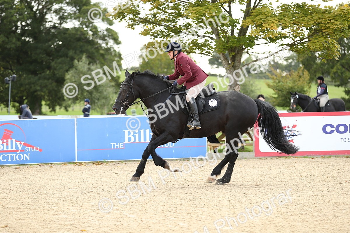 SBM_09870 - J36 - Veteran Rider 70cm