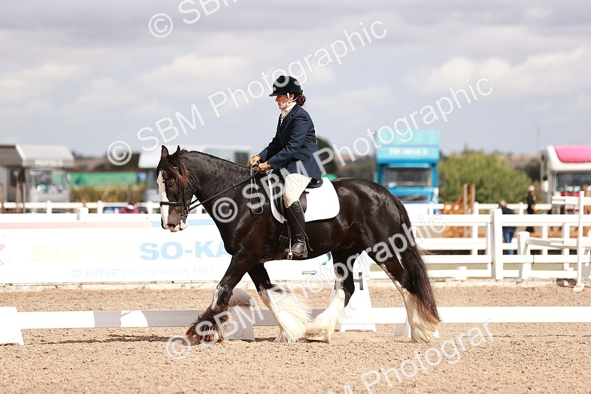 SBM_06195 - Class 37 - Novice 5