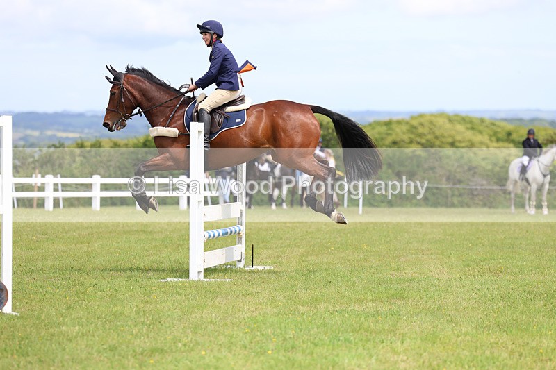 3E7A7403 - Class 13: Senior British Novice/90cm open