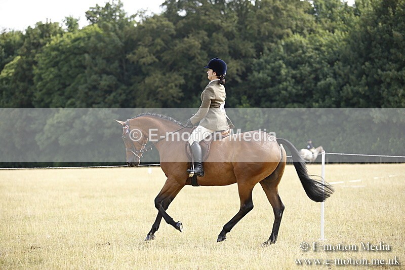 _C7A9296 - BVRC Show 2018 Ring 1