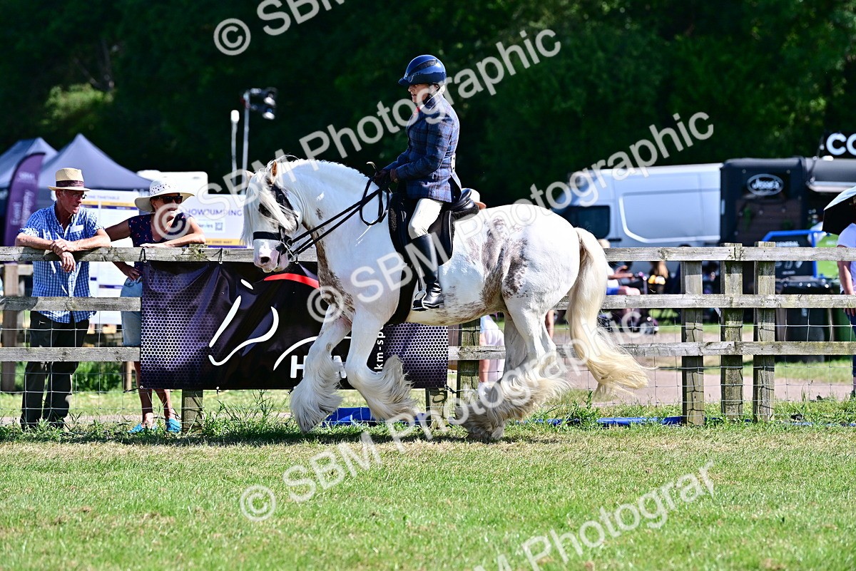 SBM_19401 - Class 101-102 - BSPS LIHS Performance Coloured Horse/Pony