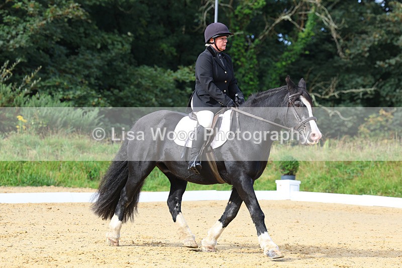 3E7A2341 - Class 1: Intro 4 2024 section A