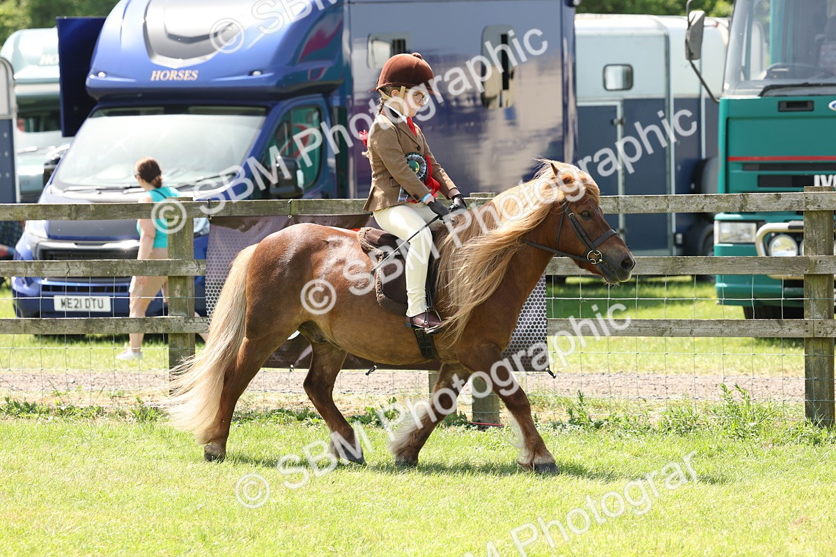 SBM_05370 - Class 24-25 - Mountain & Moorland In Hand Lead Rein and First Ridden