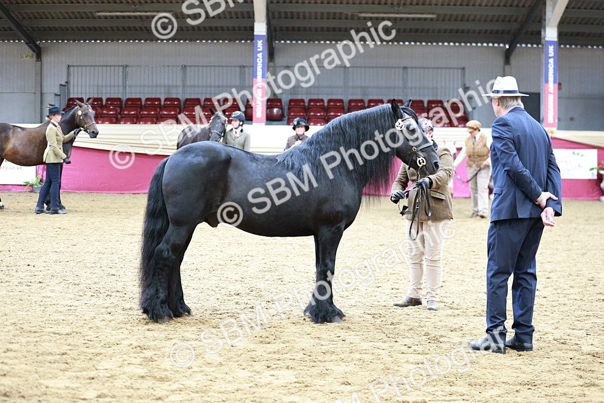 SBM_00964 - Class 2A - Area IH Veteran