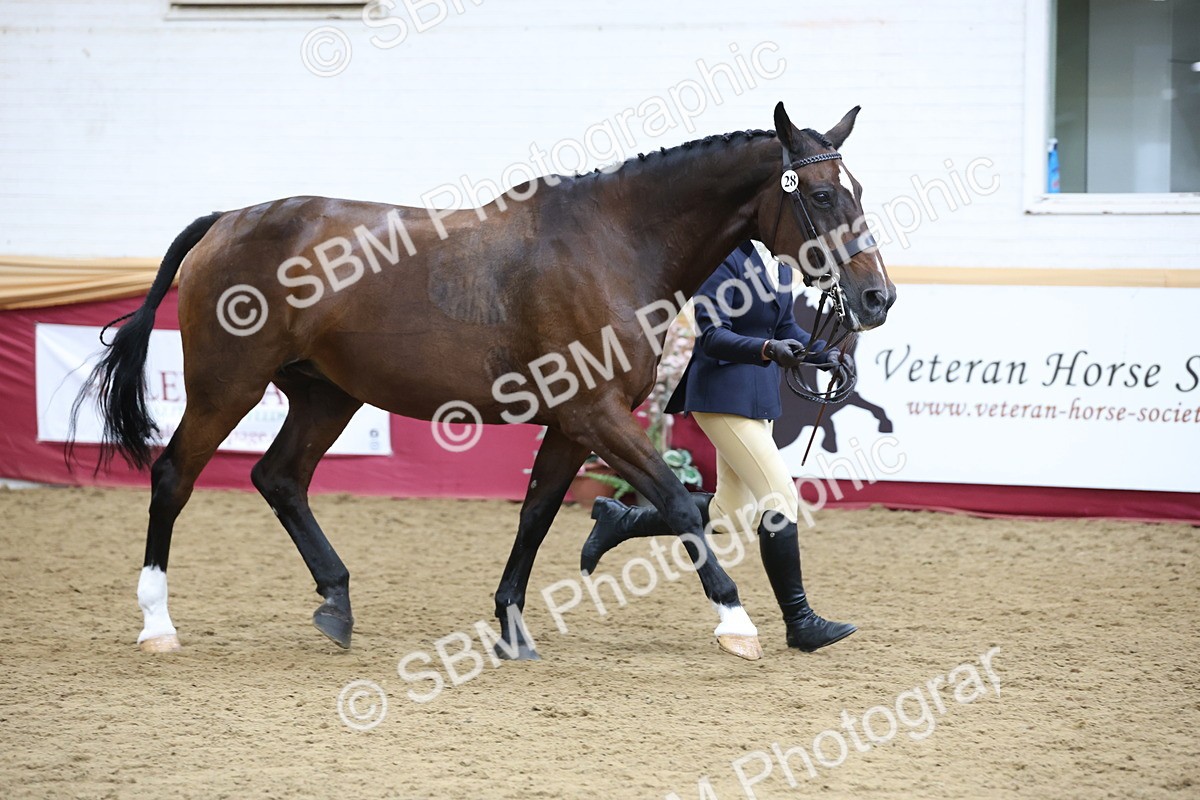 SBM_23604 - Class 904 - Supreme Final - Ridden Diamond