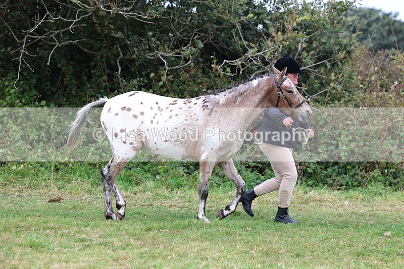 3E7A4072 - Class 15: Two Year Olds