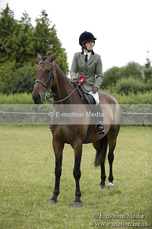 BVR160717-1052 - Ring 1 BVRC Show 16/07/17