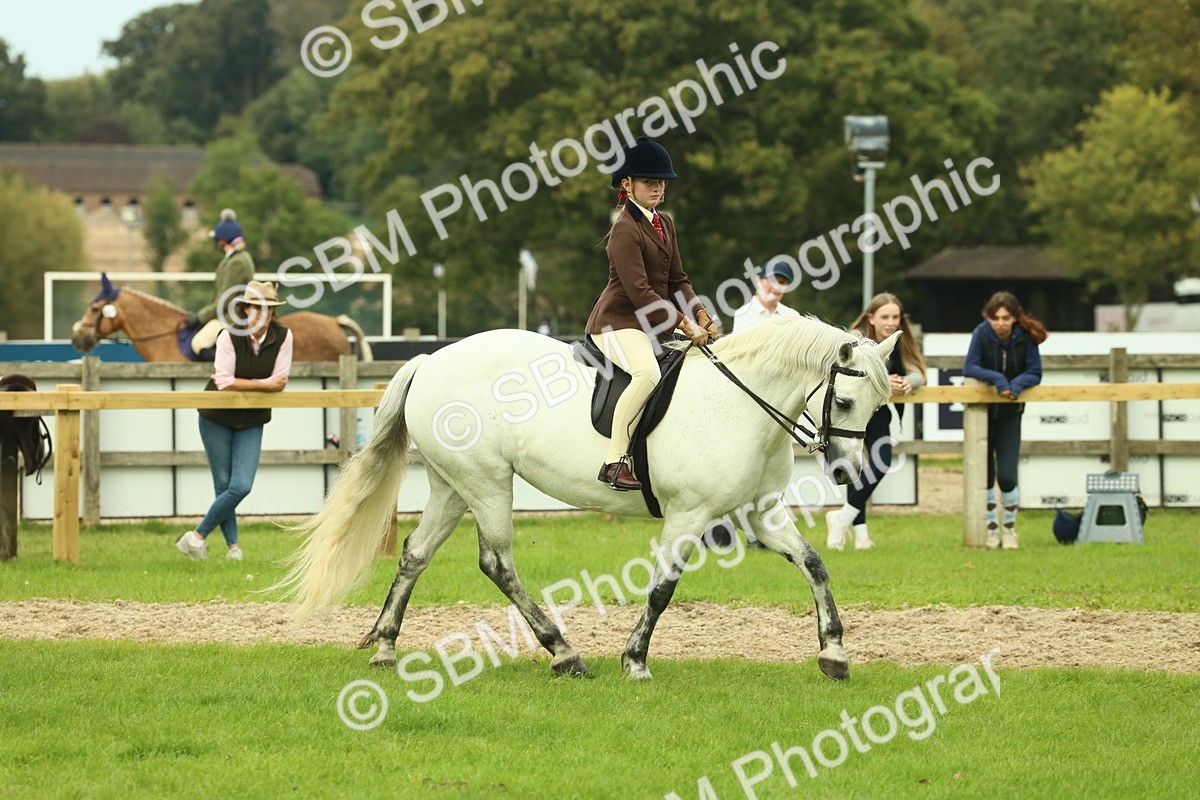 SBM_72017 - S60 - Mountain & Moorland Ridden Large Breeds