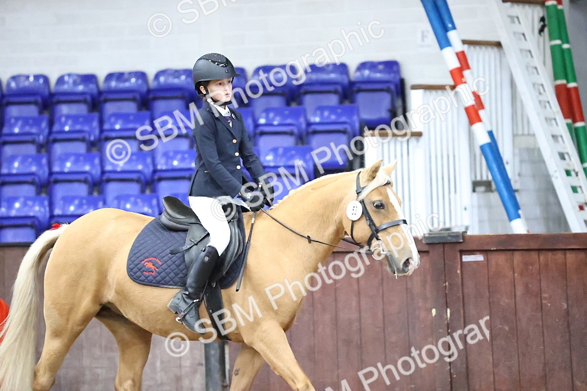 SBM_000086 - Class 1 - Fox Farriers 30cm